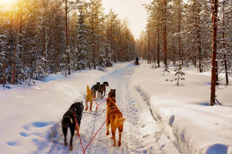 2-7 ARALIK LAPLAND PREMİUM KIŞ MASALI TURU 2027