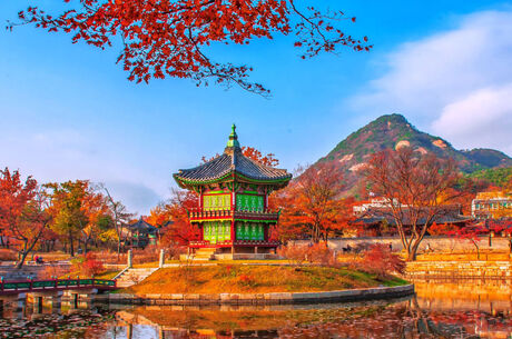 5-15 KASIM JAPONYA & KORE TURU