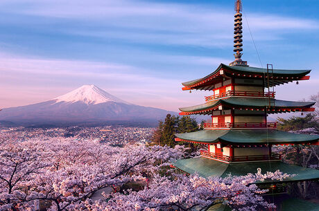 5-15 KASIM JAPONYA & KORE TURU