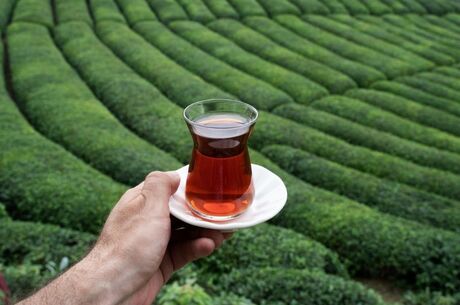 22-30 EYLÜL KARADENİZ & DOĞU ANADOLU TURU 2026